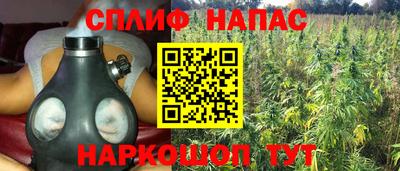 эйфоретик Бузулук