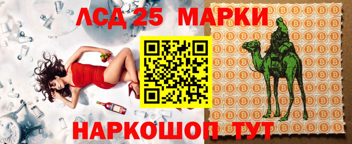 Новозыбков  Наркотические марки  Марки 25I-NBOMe 1500мкг  Вход с VPN  Марки 25I-NBOMe 1500мкг 
